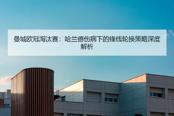 man-cheng-ou-guan-tao-tai-sai-ha-lan-de-shang-bing-xia-de-feng-xian-lun-huan-ce-lve-shen-du-jie-xi-2-812.jpg