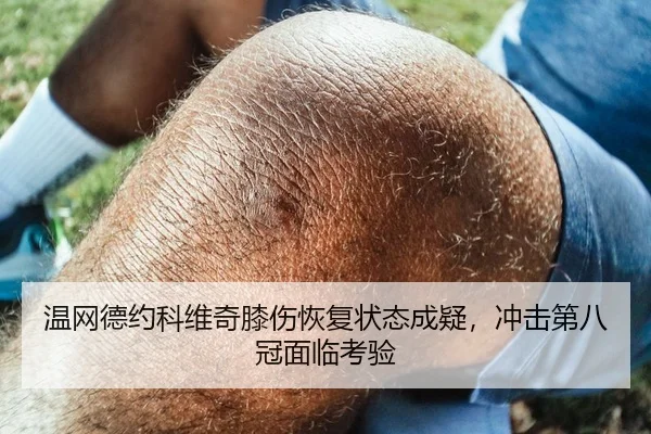 温网德约科维奇膝伤恢复状态成疑，冲击第八冠面临考验