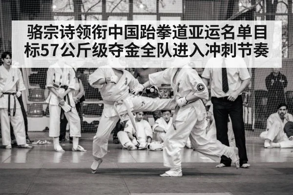 women taekwondo match